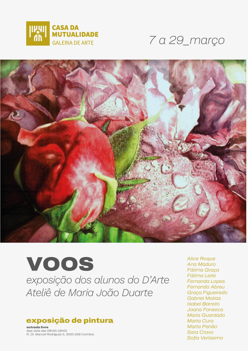 exposicao-voos